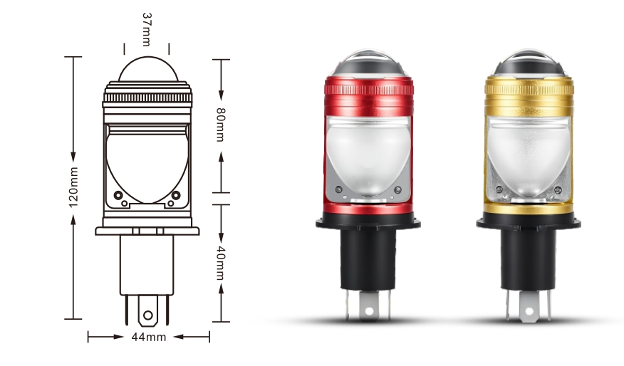 微信图片_20250405232408