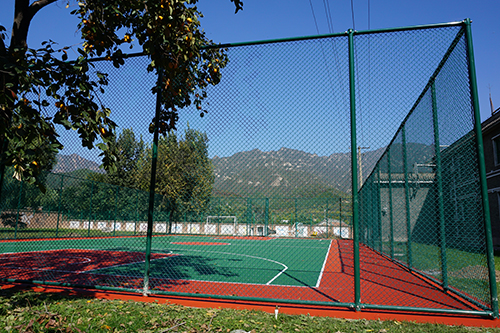 Basketball Court