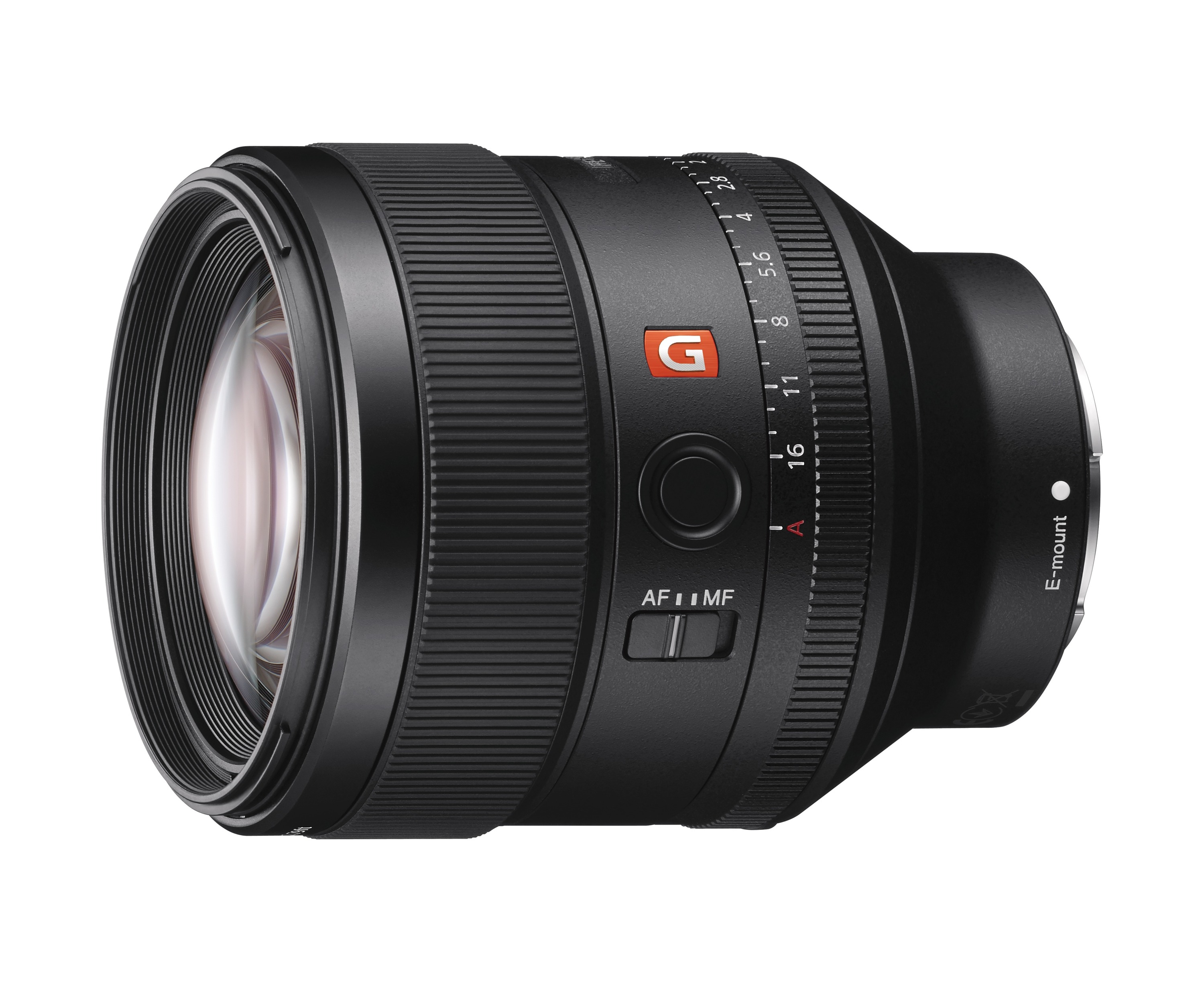 SEL85F14GM-1