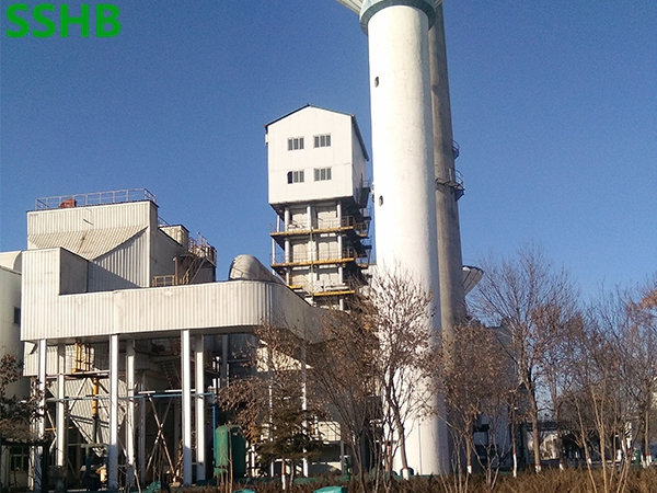 Desulfurization and denitrification system