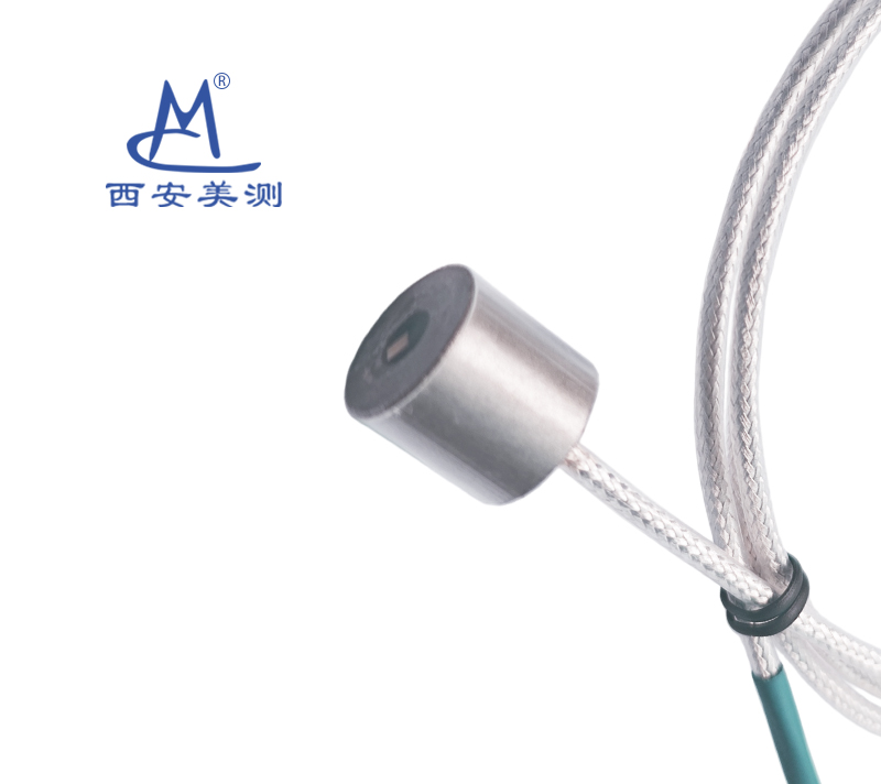 WP161磁吸式温度传感器
