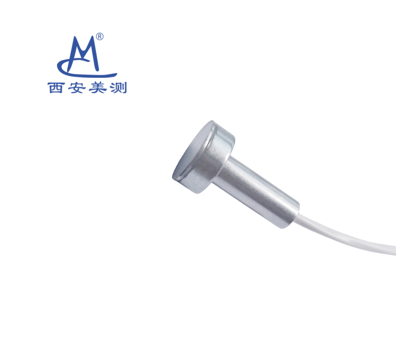 WP161磁吸式温度传感器