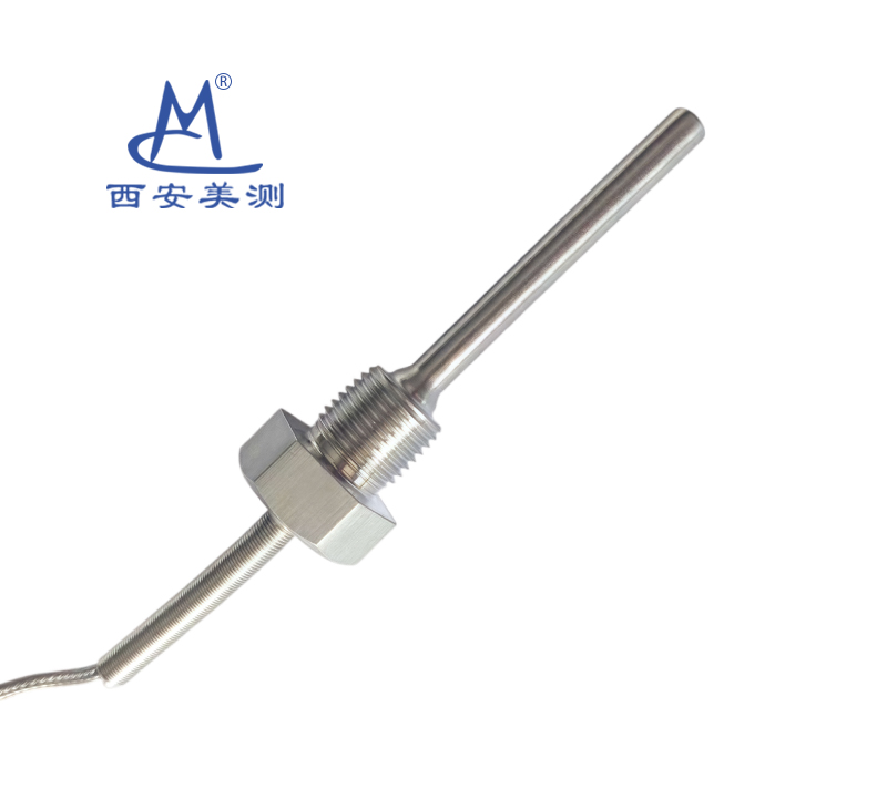 WP211带探头螺纹安装温度传感器