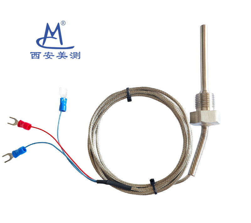 WP211带探头螺纹安装温度传感器