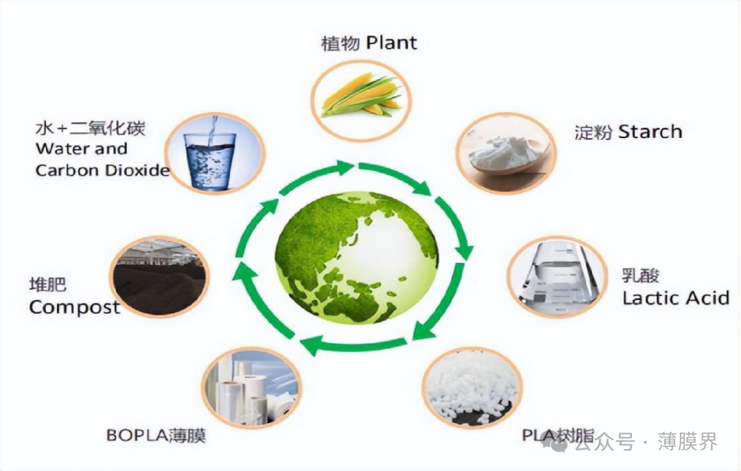 全球首台套BOPLA专用生产线 落户泗洪开发区