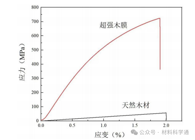 纤维素灌注与再生
