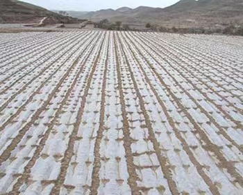 湖北省金中德科技机械设备有限责任公司