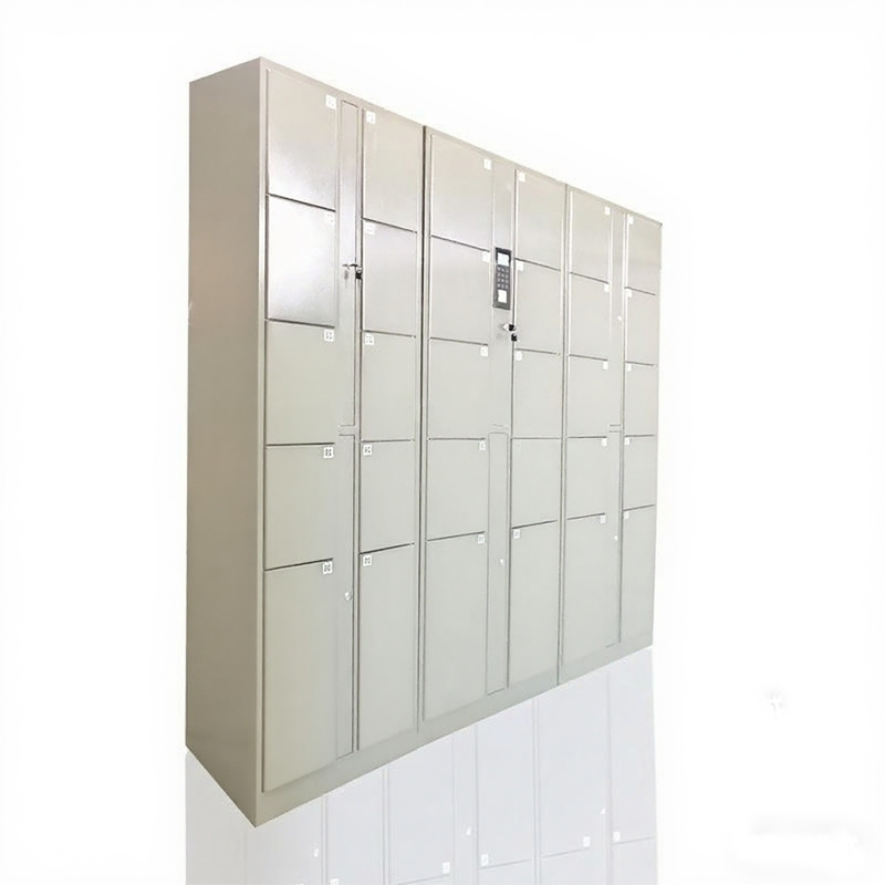 Electronic Locker Management System