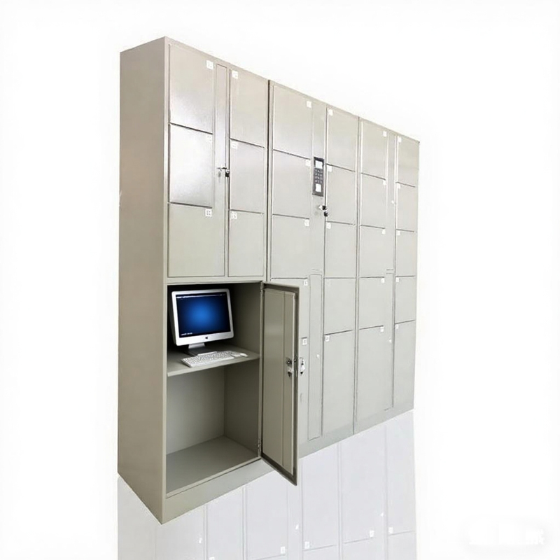 Electronic Locker Management System