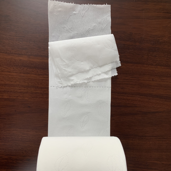 Soft & Strong Toilet Paper Roll with Core