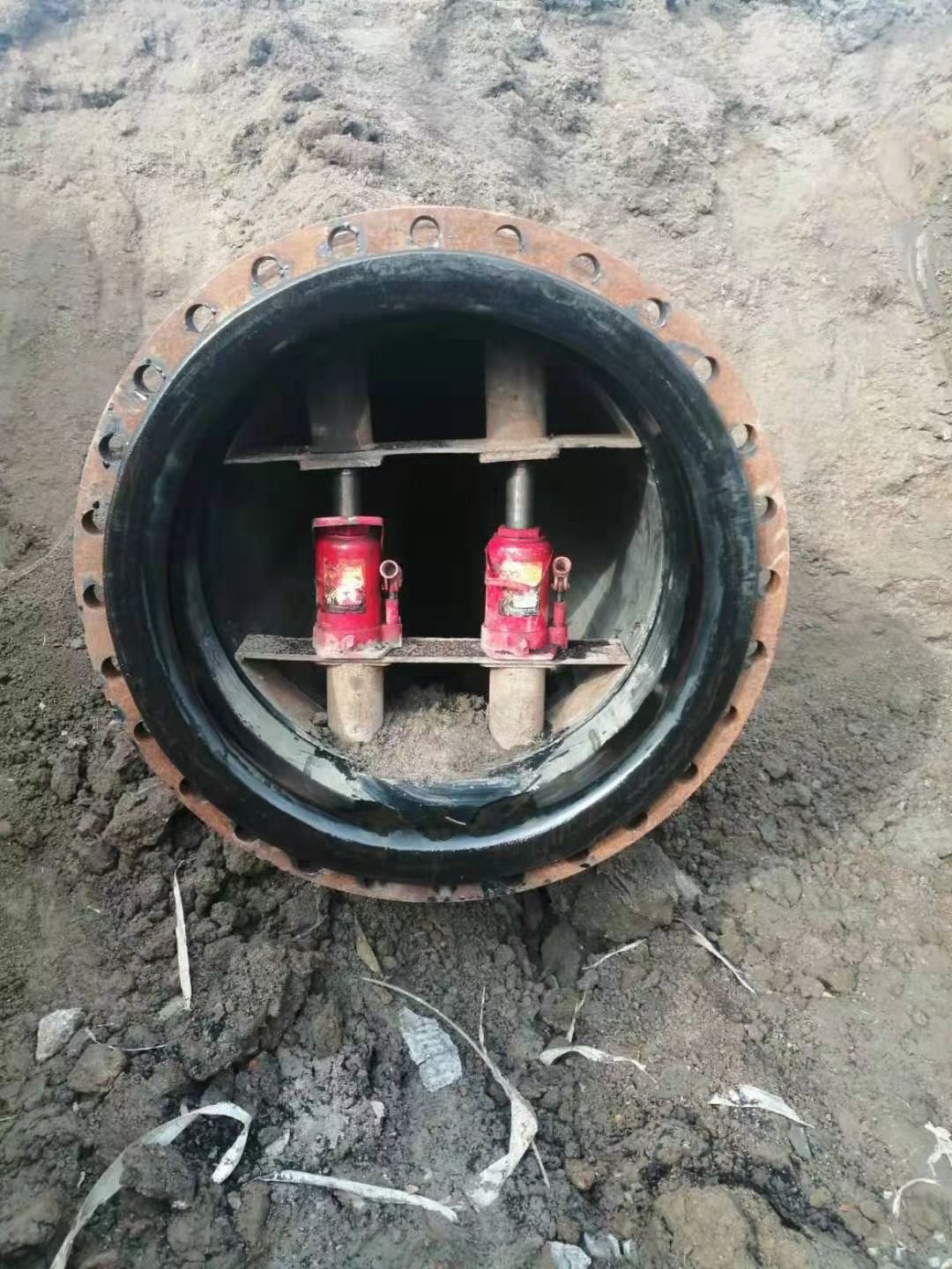 微信图片_202505231033072