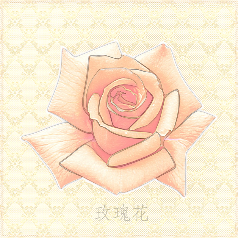 板材系列100-100  2