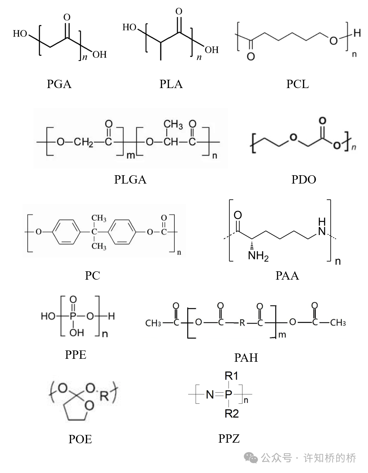 可降解生物医用高分子材料