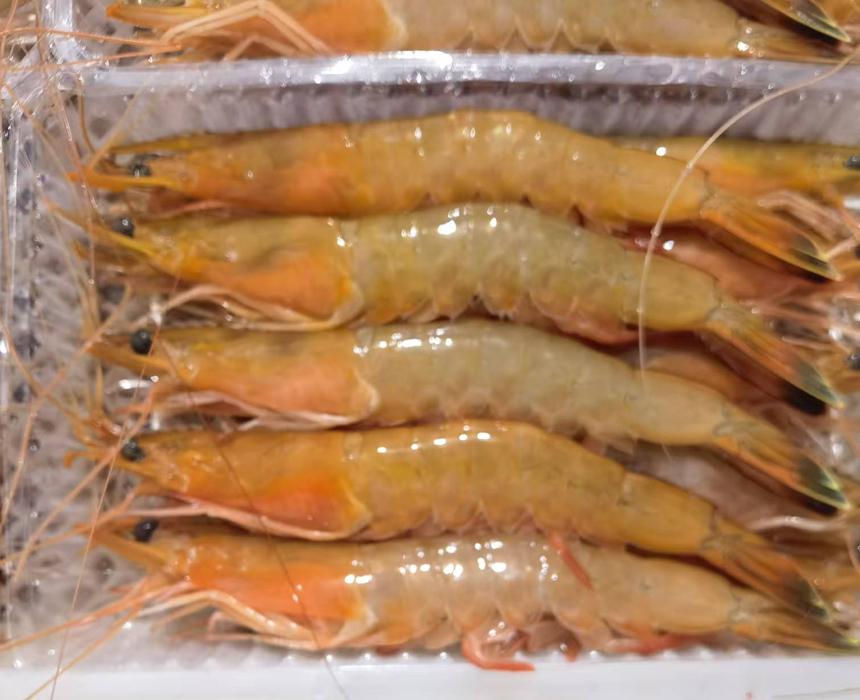 海虾