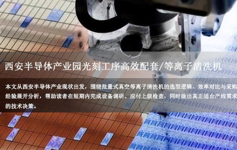 西安半导体产业园光刻工序高效配套：一款批量式晶圆真空等离子清洗机的选型思考与现货采购参考