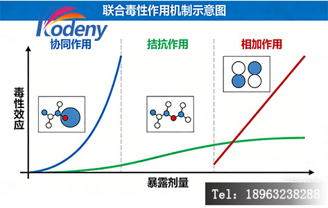 污染物的&ldquo;联合毒性&rdquo;机制&mdash;&mdash;为何达标水也能毒死鱼？