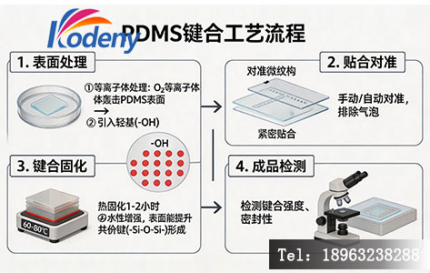 PDMS键合工艺流程及表面处理环节示意图