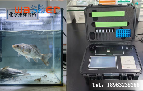 水质综合毒性测定仪原理 - 发光细菌法检测生物效应