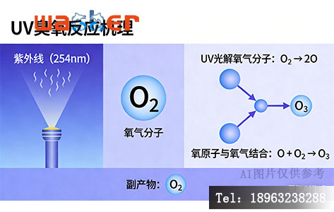 UV臭氧反应机理图