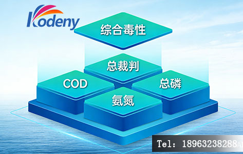 水质安全金字塔&mdash;&mdash;综合毒性是塔尖的最终裁决。