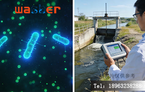 &ldquo;15分钟出结果，活体细菌如何通过&lsquo;发光&rsquo;预警水污染？&rdquo;