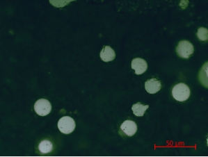 球形钴-碳化钨粉