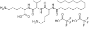 PALMITOYL TRIPEPTIDE-5