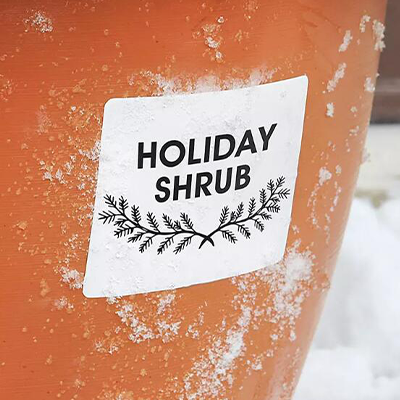 Наружная этикетка