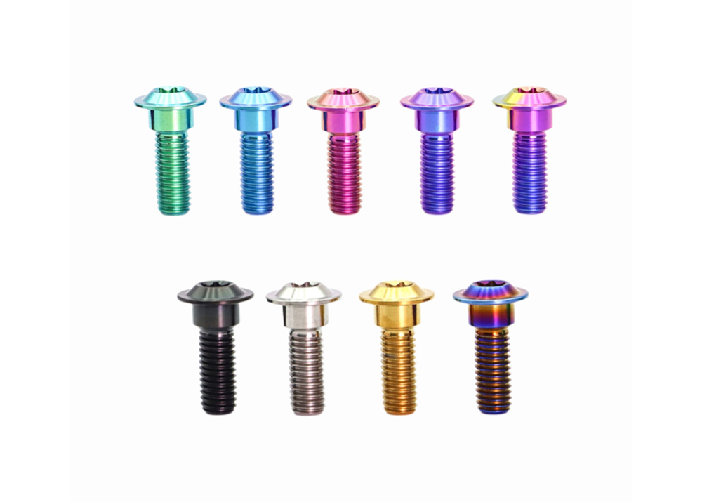 Titanium Disc Head Torx Screw