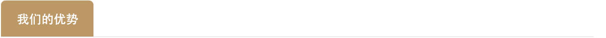 我们的优势1