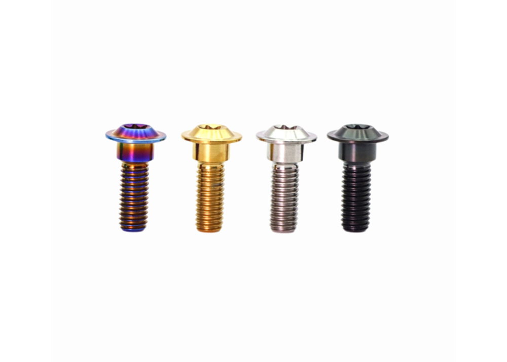 Titanium Torx Head Steps Screw