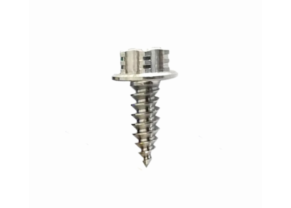 Titanium Self-Tapping Screw For Motorcycle