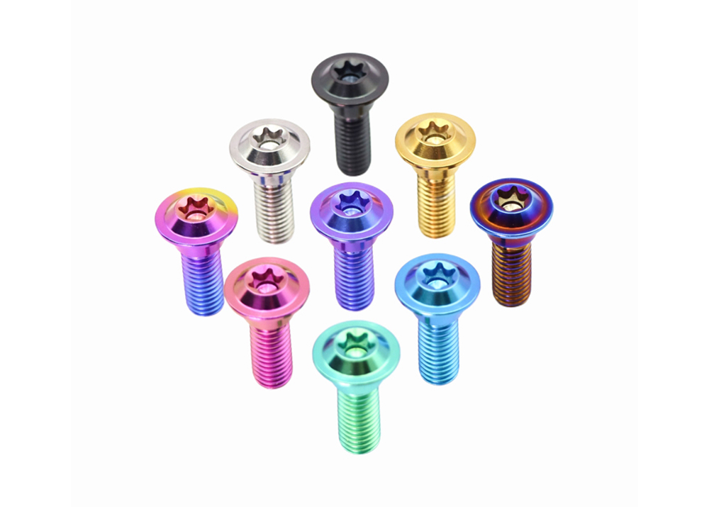 Titanium Torx Head Steps Screw