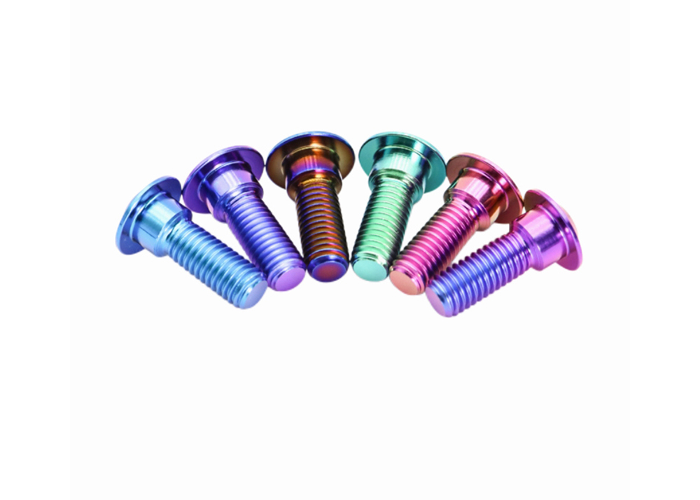Titanium Disc Head Torx Screw