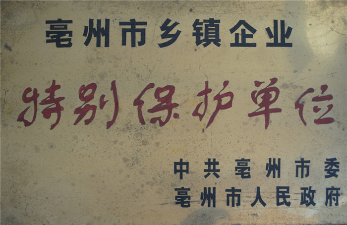亳州市乡镇企业特别保护单位