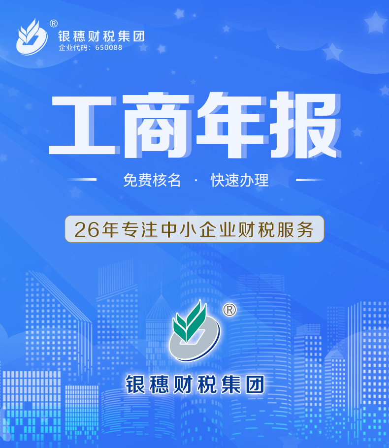 0.53 工商年报