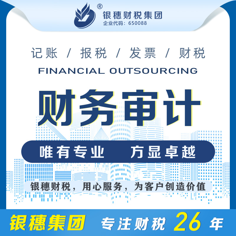 乌鲁木齐财务审计
