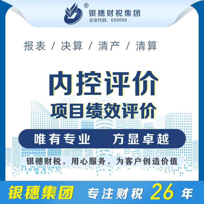 项目绩效评价