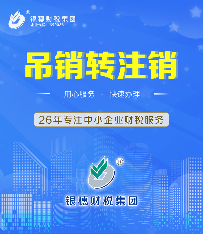 2.6.0 吊销转注销