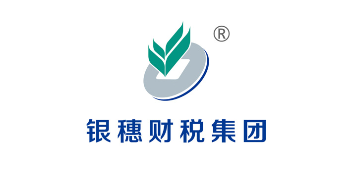 银穗财税集团