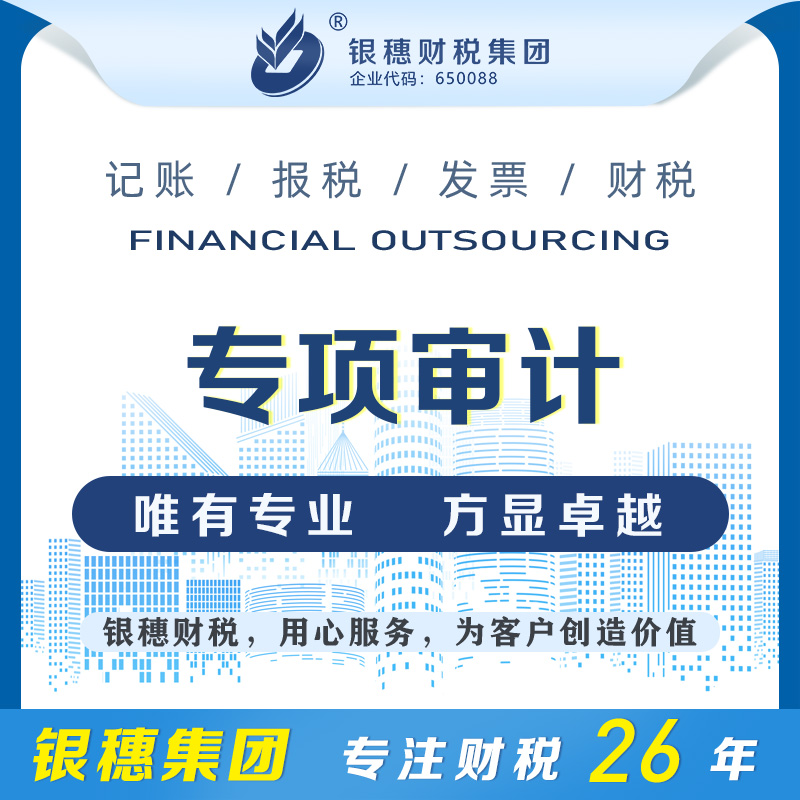专项审计