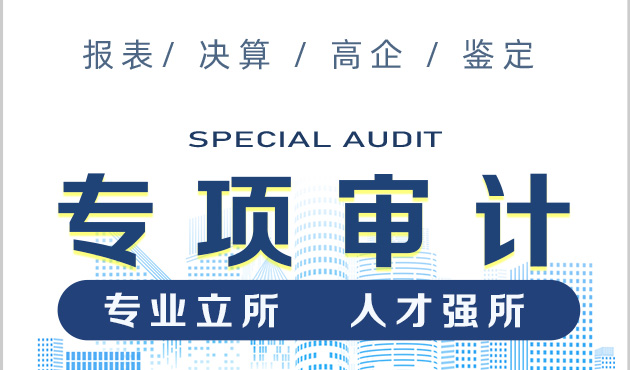 永诚置业会计师事务所审计业务