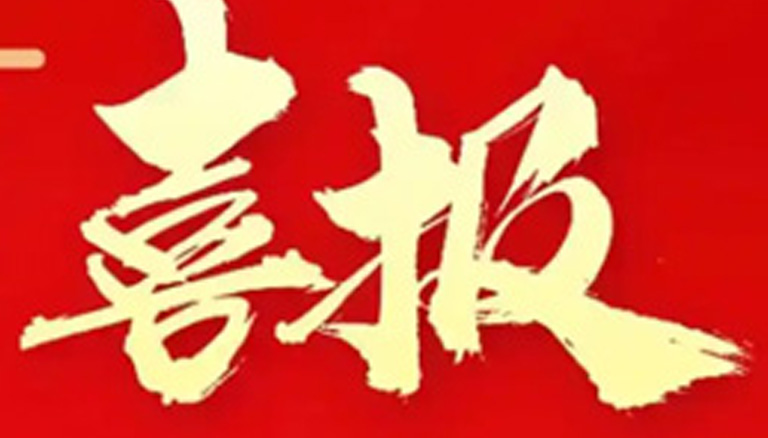 恭喜银穗税务师事务所所长雷惠群入选自治区会计专家库