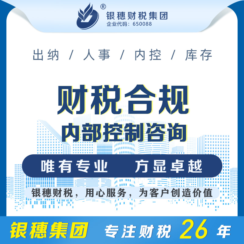 内部控制咨询