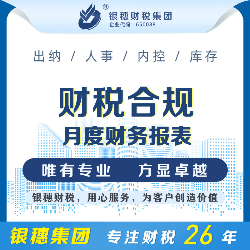 月度财务报表