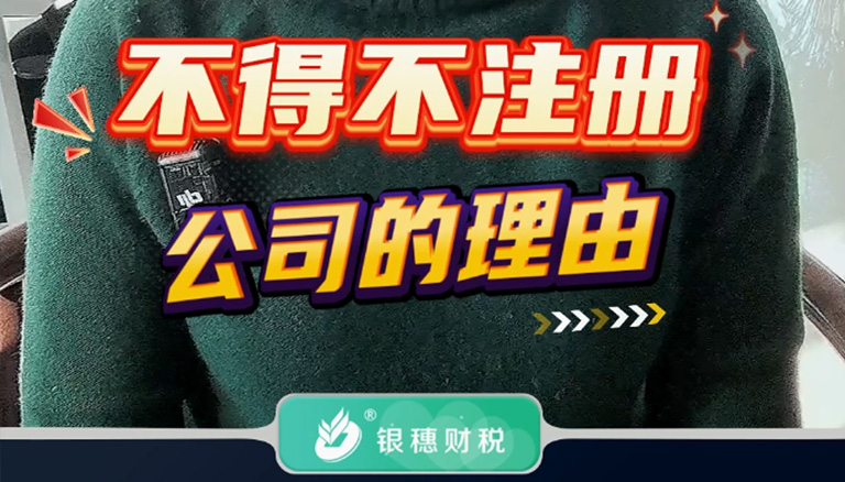 1.1 不得不注册公司的理由