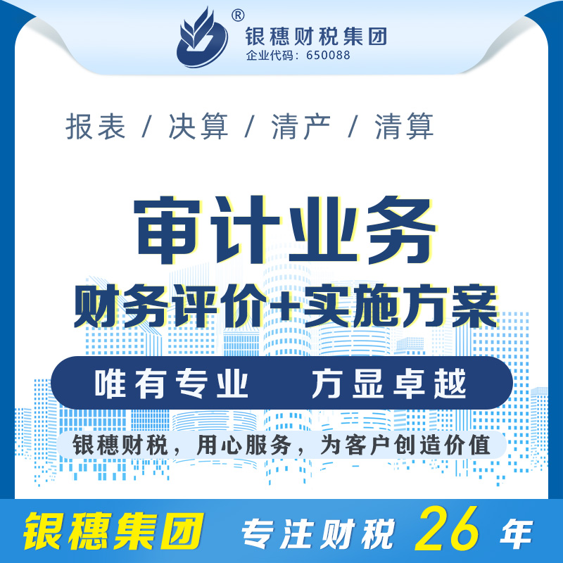 财务评价+实施方案