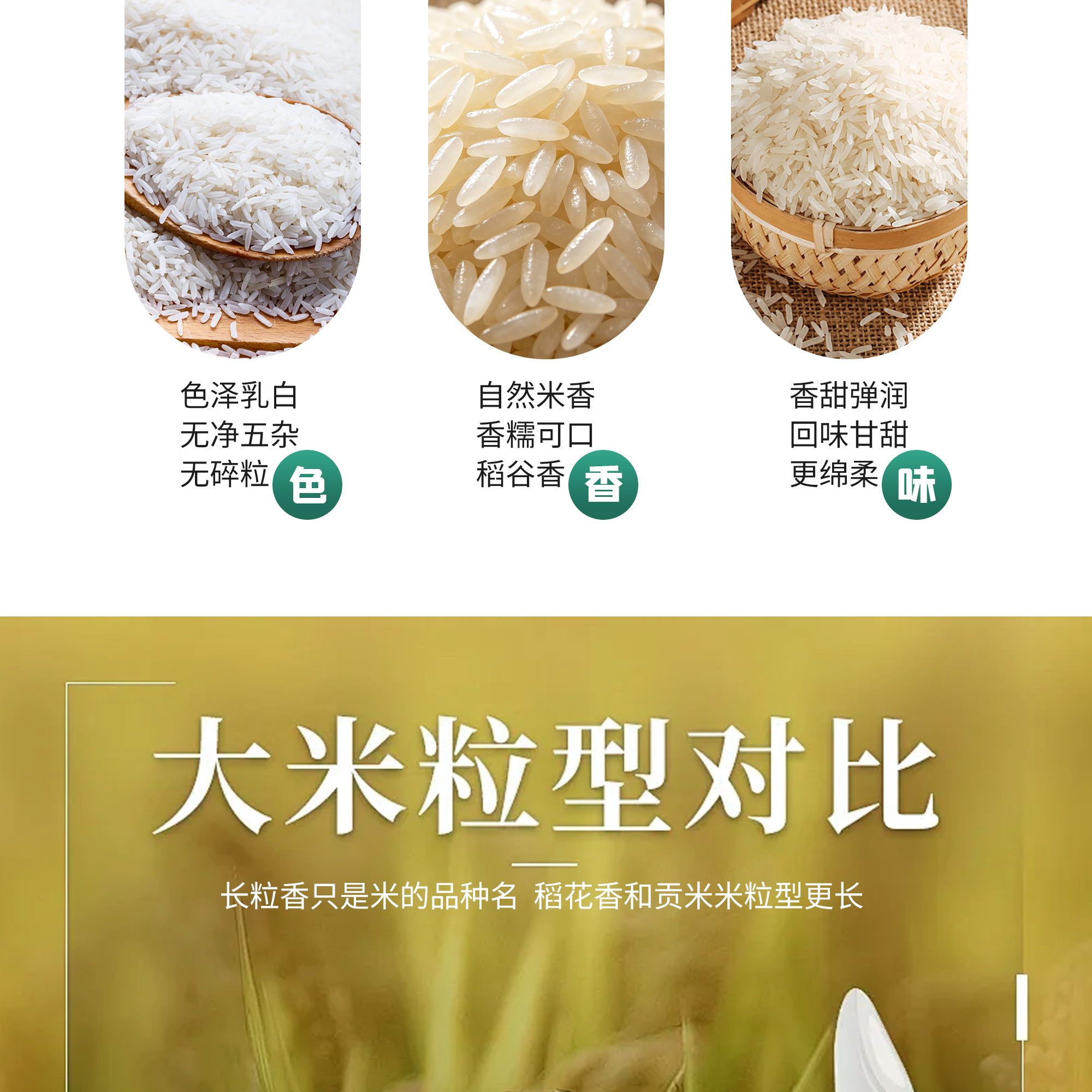 泰香米_05
