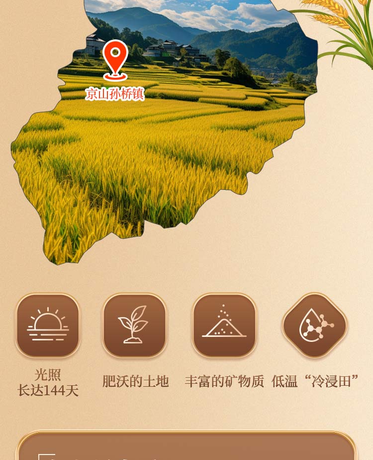 泉水稻米一级_05