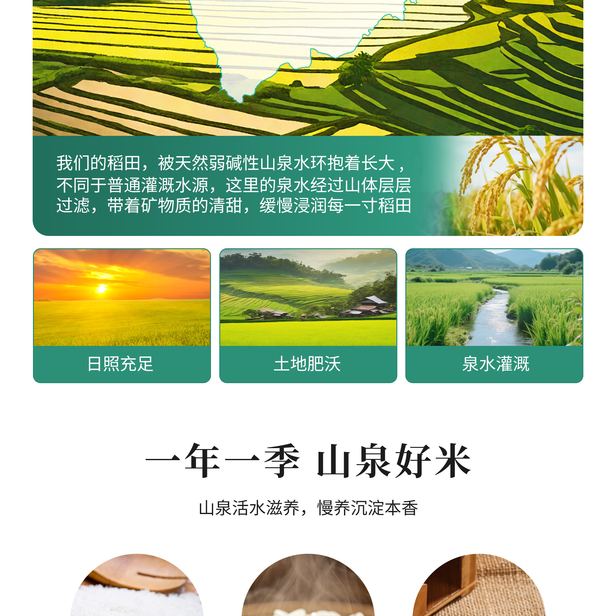 泰香米_04